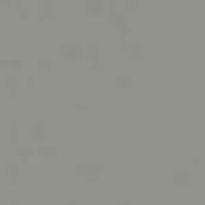 color gris